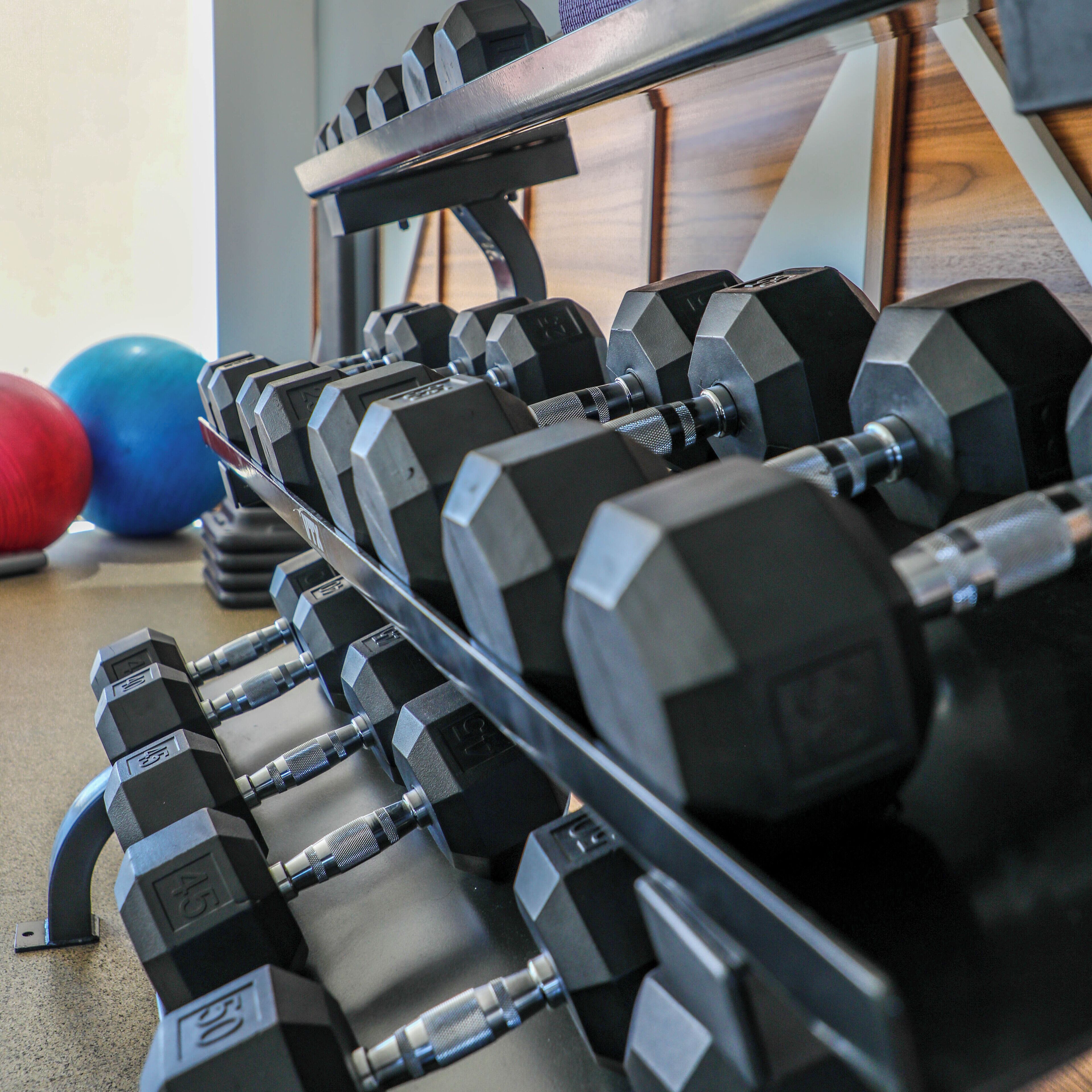 A rack of black dumbbells with weight markings, a blue and red exercise ball, and a wooden floor.