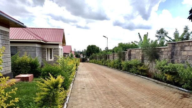 Una calle residencial empedrada bordeada de casas y abundante vegetación.