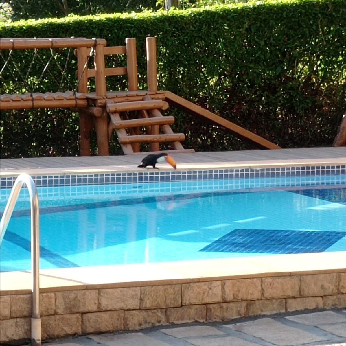 Ein Schwimmbecken mit Holzterrasse und Metallleiter.