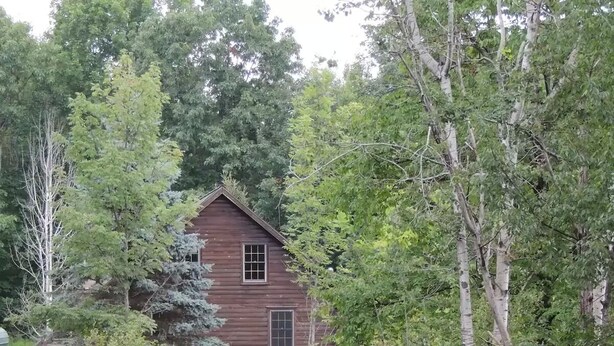A rustic wooden cabin surrounded by dense forest and a pond with yellow flowers in the foreground. - Greenwood At Entangled Acres - Log Cabin w\WiFi on 16 Acre Animal Sanctuary (Owego)