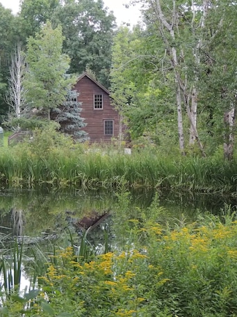 Property grounds. Greenwood At Entangled Acres - Log Cabin w\WiFi on 16 Acre Animal Sanctuary