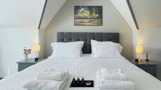 Une chambre d’hôtel moderne avec un grand lit, deux tables de chevet, un tableau représentant des oiseaux et deux lampes.