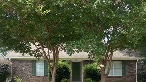 A two-story brick house with a green door, a front yard, and two trees. - Close to Vaught Hemingway and Swayze (Oxford)