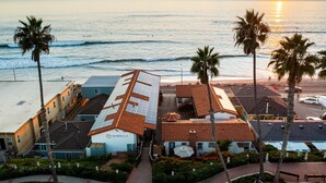 Un hôtel situé sur la côte, doté d’une terrasse sur le toit, de palmiers et offrant une vue sur l’océan.