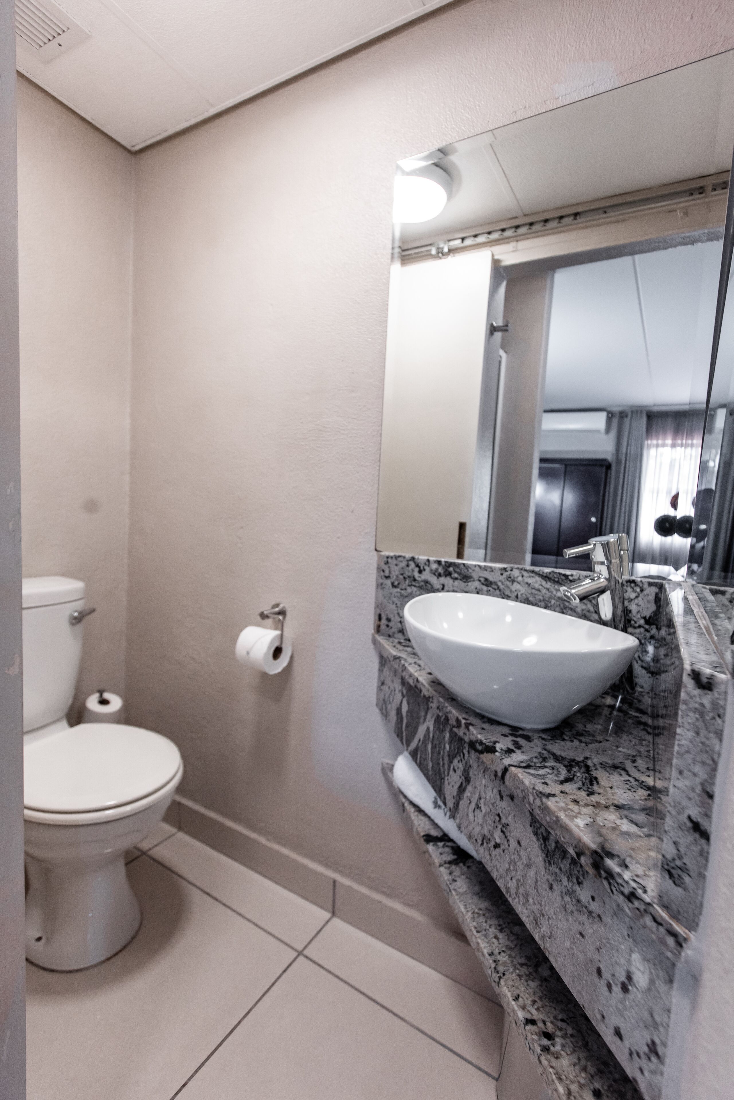 A bathroom with a white toilet, a marble sink, and a large mirror.