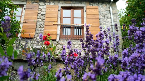 Stonehouse in Lake Skadar National Park