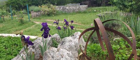 المنطقة المحيطة بالمنشأة