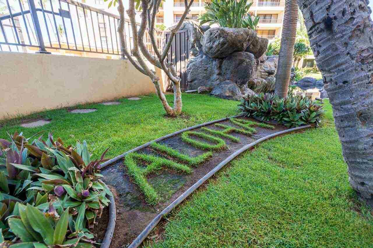 Un giardino curato con un vialetto, una formazione rocciosa e una palma.