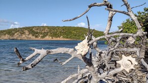 Nær stranden og strandhåndklær