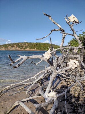 Beach nearby, beach towels