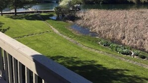 Vista de una zona verde con un estanque y un puente.