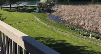 SPRING SPECIALS! Relaxing River Oasis & Dock