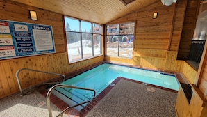 A wooden spa with a pool, wooden walls, and large windows. - Hibernation House at Lutsen, Hibernation House at Lutsen (Lutsen)