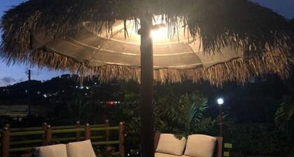 Pirate Palms - The 3 bed - 2 bath