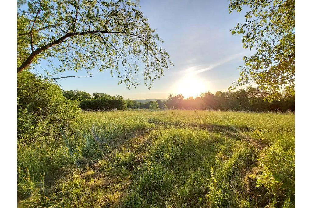 Bluestone At Entangled Acres - Log Cabin w\WiFi on 16 Acre Animal Sanctuary