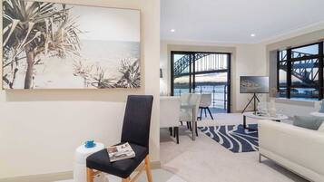 TV, Netflix, DVD player, streaming services