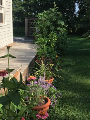 Enjoy the serene garden surroundings with a variety of flowering plants and a wooden deck for outdoor activities.