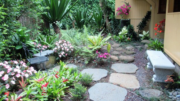 Un jardí amb una varietat de plantes i un camí de pedra.