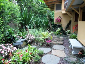 A garden with a variety of plants and a stone pathway.