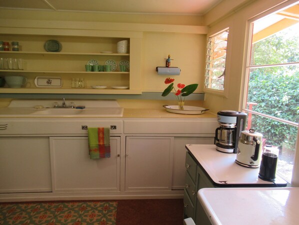 A kitchen with a sink, countertop, and a window with a view of greenery.