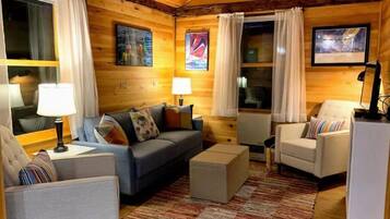 智能電視、書籍