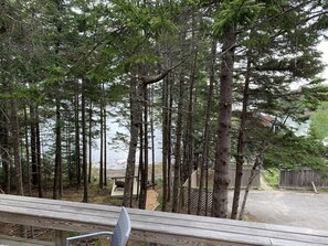 Property grounds - Coveside Cottage-on the shore overlooking Bass Hbr (Bernard)