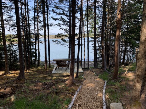 A forested area with a wooden deck and a bench overlooking a lake.