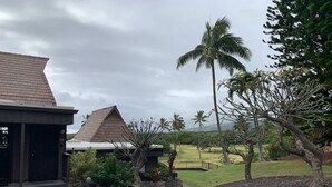 A residential area with a house featuring a sloped roof, a well-maintained lawn, and a palm tree. - #41 Turtle Hut at Punalu`u Black Sand Beach * Most (Pahala)