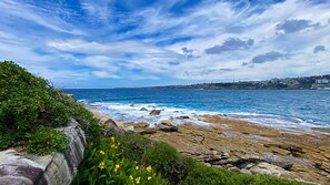 Beach - Modern coastal home near beach with gorgeous outdoor entertaining courtyard. (Bondi Beach)