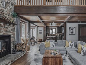 Smart TV, fireplace, books, music library