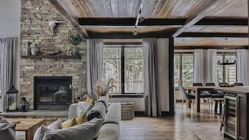 TV connectée, cheminée, livres, médiathÚque