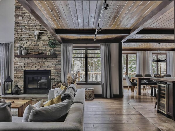 Smart TV, fireplace, books, music library