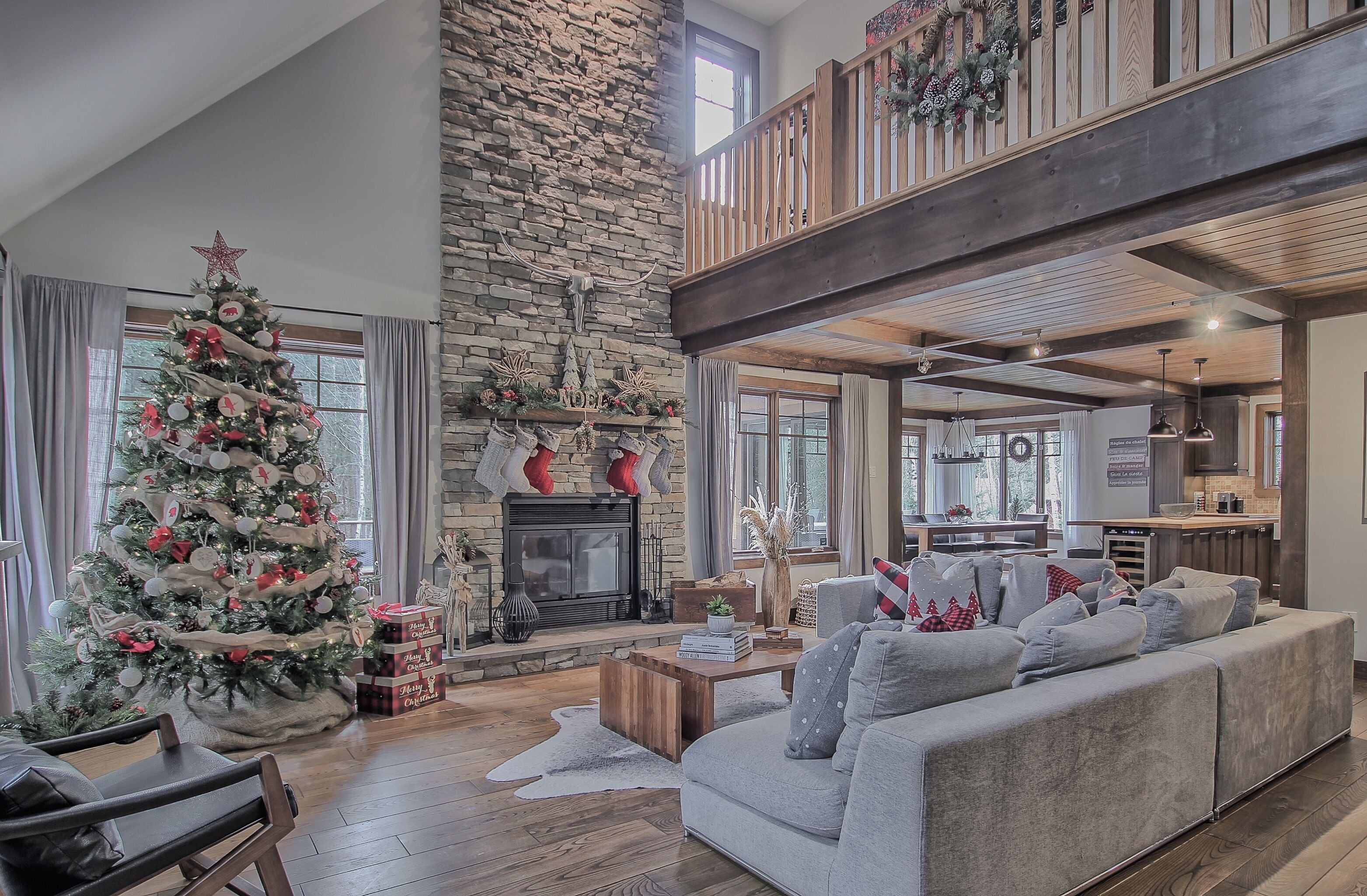 Smart TV, fireplace, books, music library