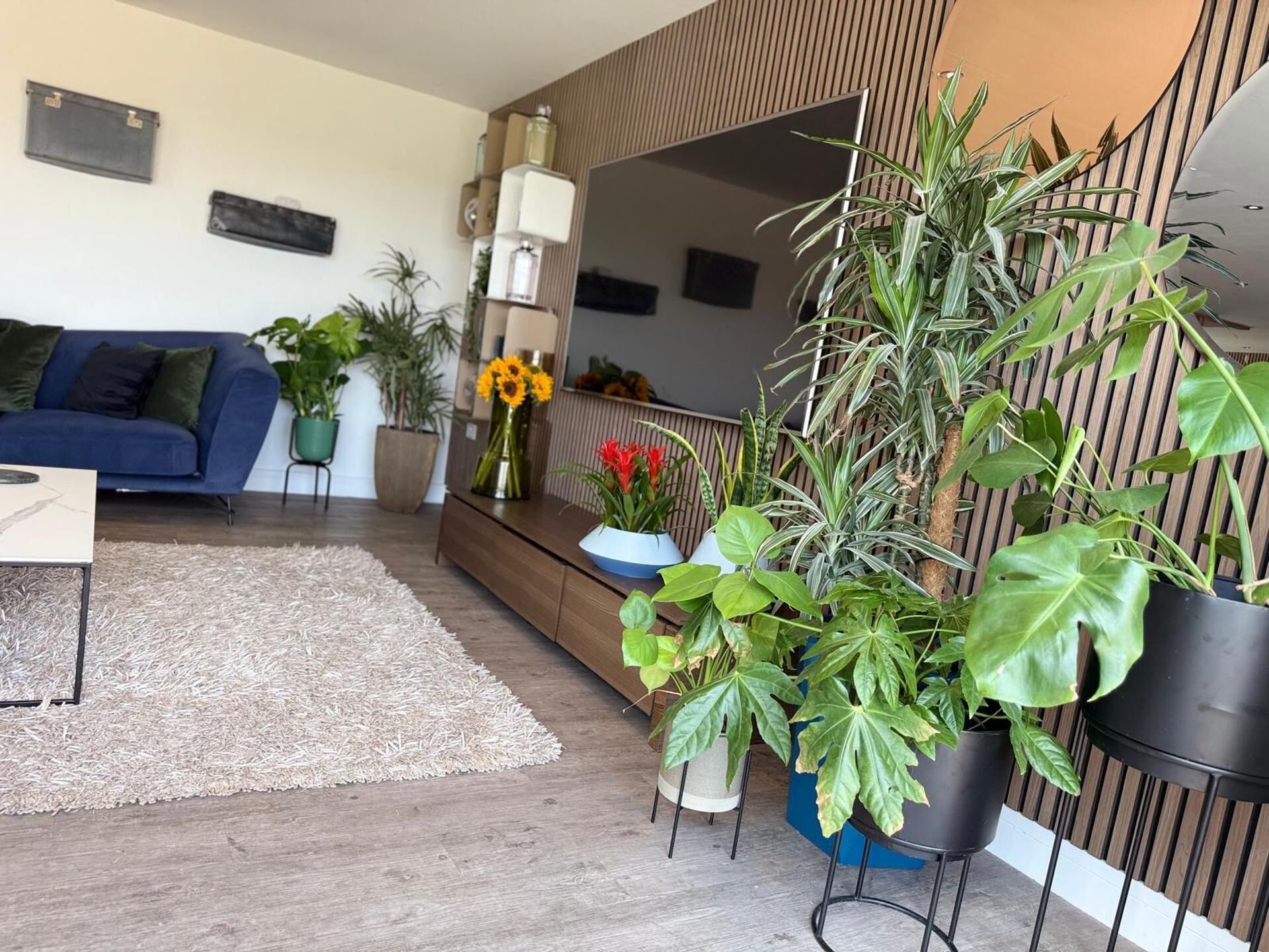 Een moderne woonkamer met een bank, een bijzettafeltje en diverse potplanten.
