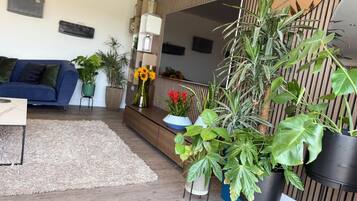 Een moderne woonkamer met een bank, een bijzettafeltje en diverse potplanten.