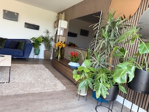 En 30-tommers TV med digitale kanaler samt peis