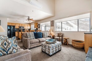 Smart TV, fireplace, DVD player, books