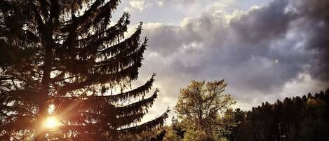 Jardines del alojamiento