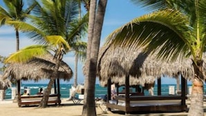 A beach with thatched-roof structures, palm trees, and a clear view of the sea. - Junior Suites – The Tropical (Puerto Vallarta)