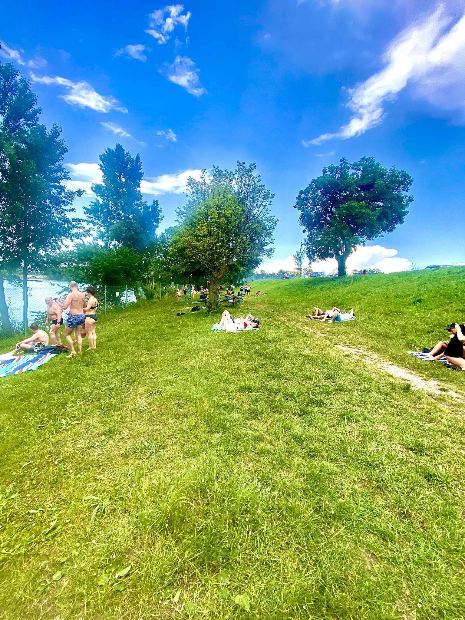 A grassy park with trees and people relaxing on the grass.