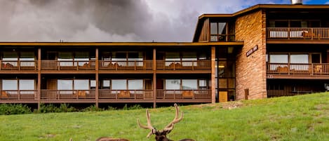 A lodge with a multi-story building, balconies, and a grassy area with elk.