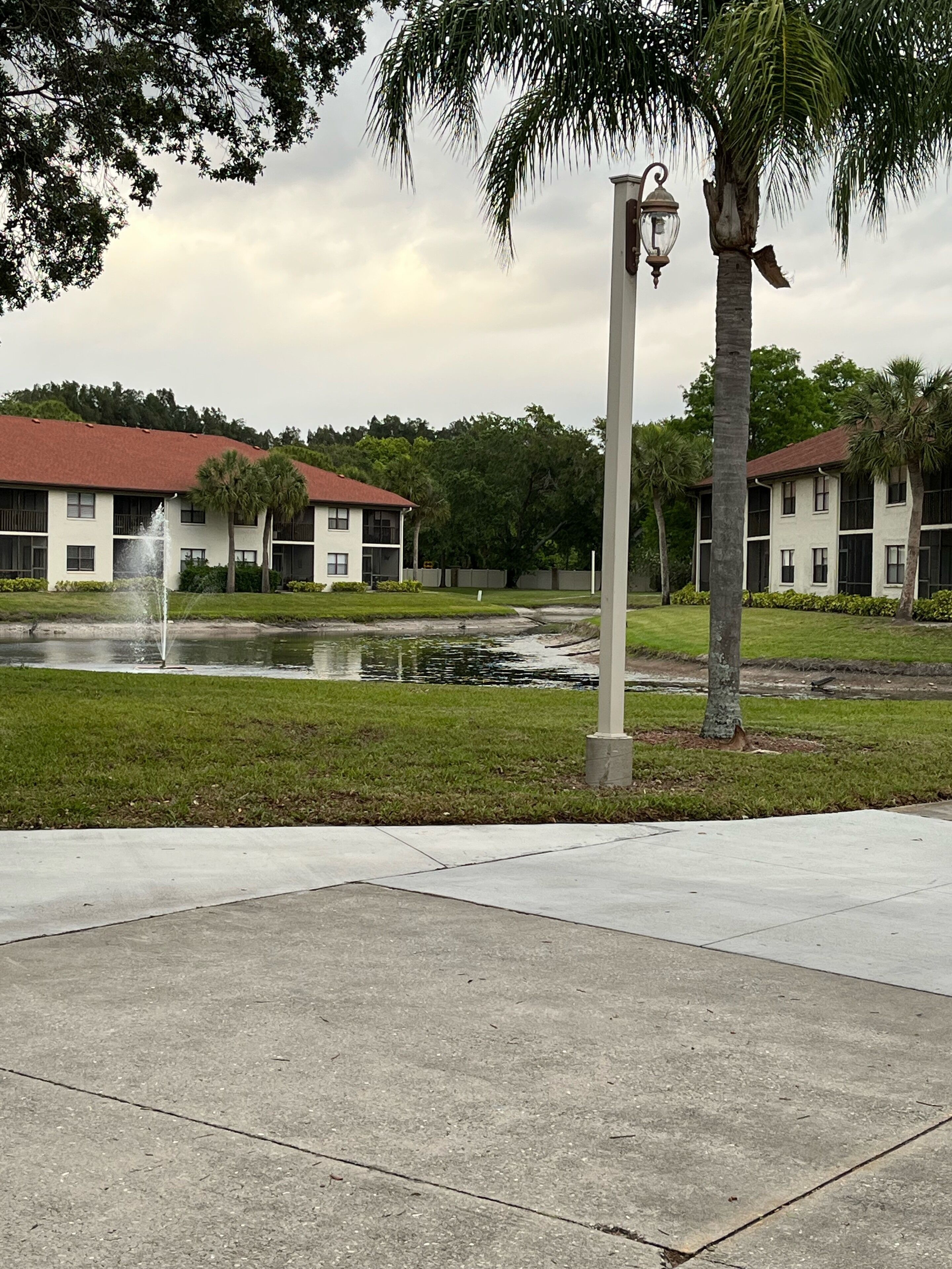 A courtyard with a fountain, palm trees, and a building with a red roof.