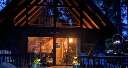 Lake Almanor Peninsula Cabin In The Pines