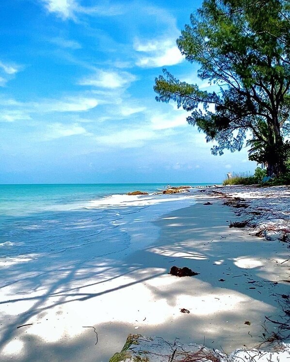 Am Strand, weißer Sandstrand, kostenloser Shuttle zum Strand