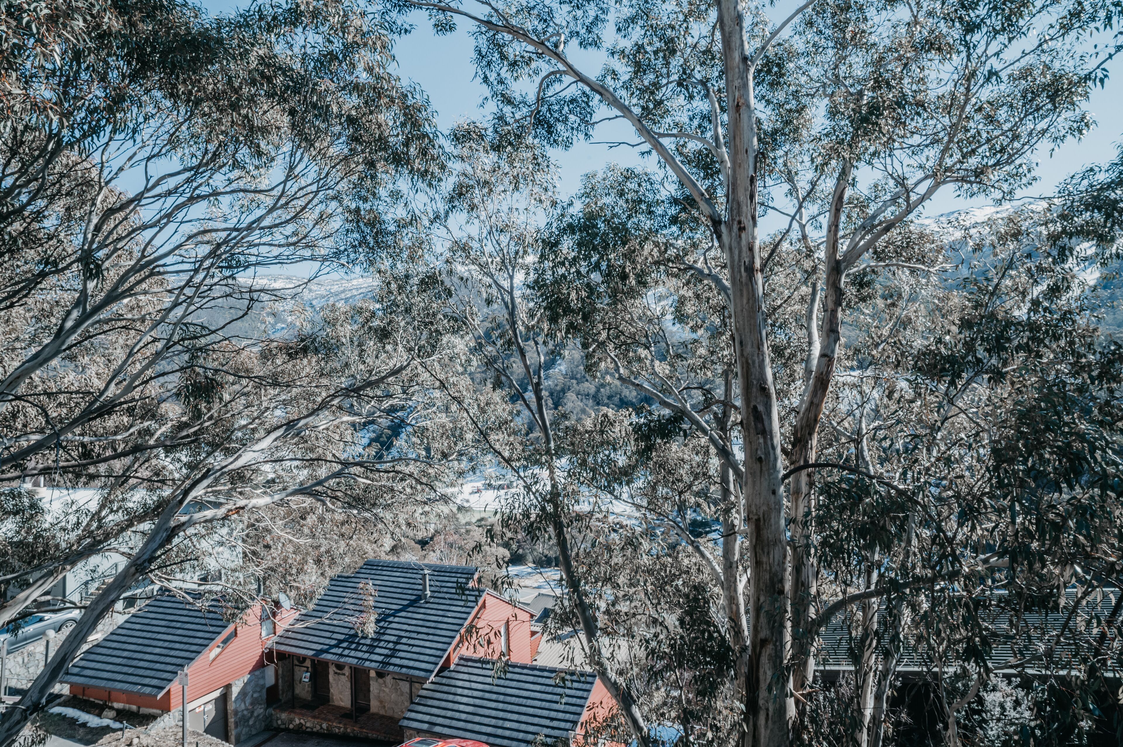 Central Two Bedroom Thredbo  Apartment with Great Views — image 3