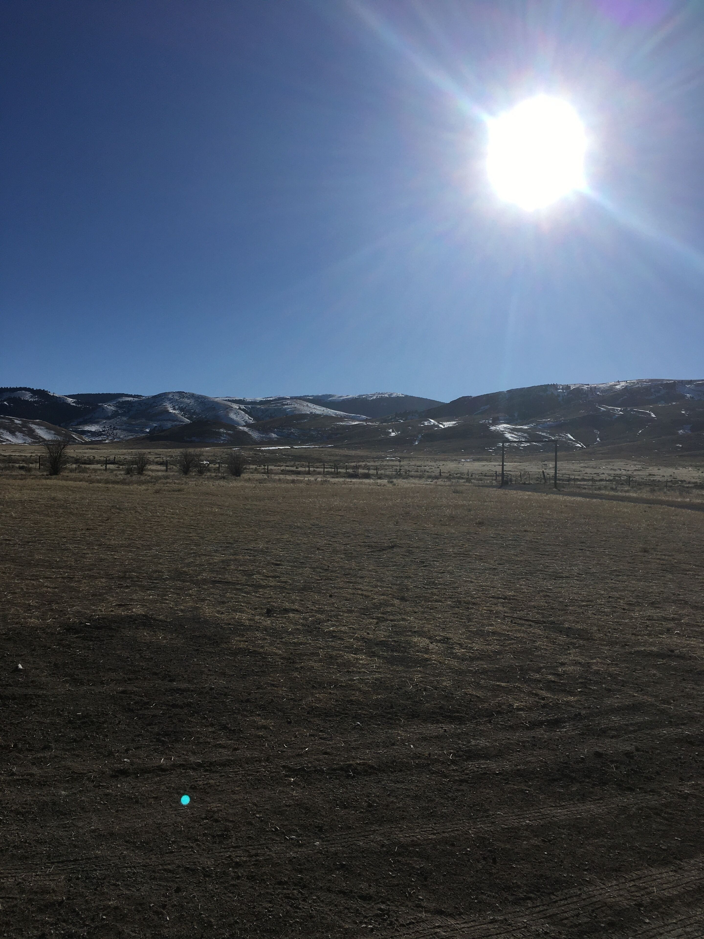 A vast, open field with a clear sky and distant snow-capped mountains.