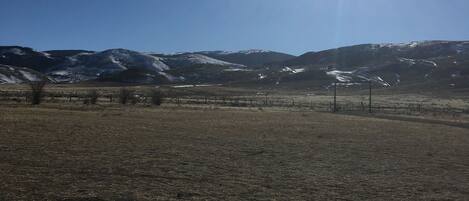 A vast, open field with a clear sky and distant snow-capped mountains.