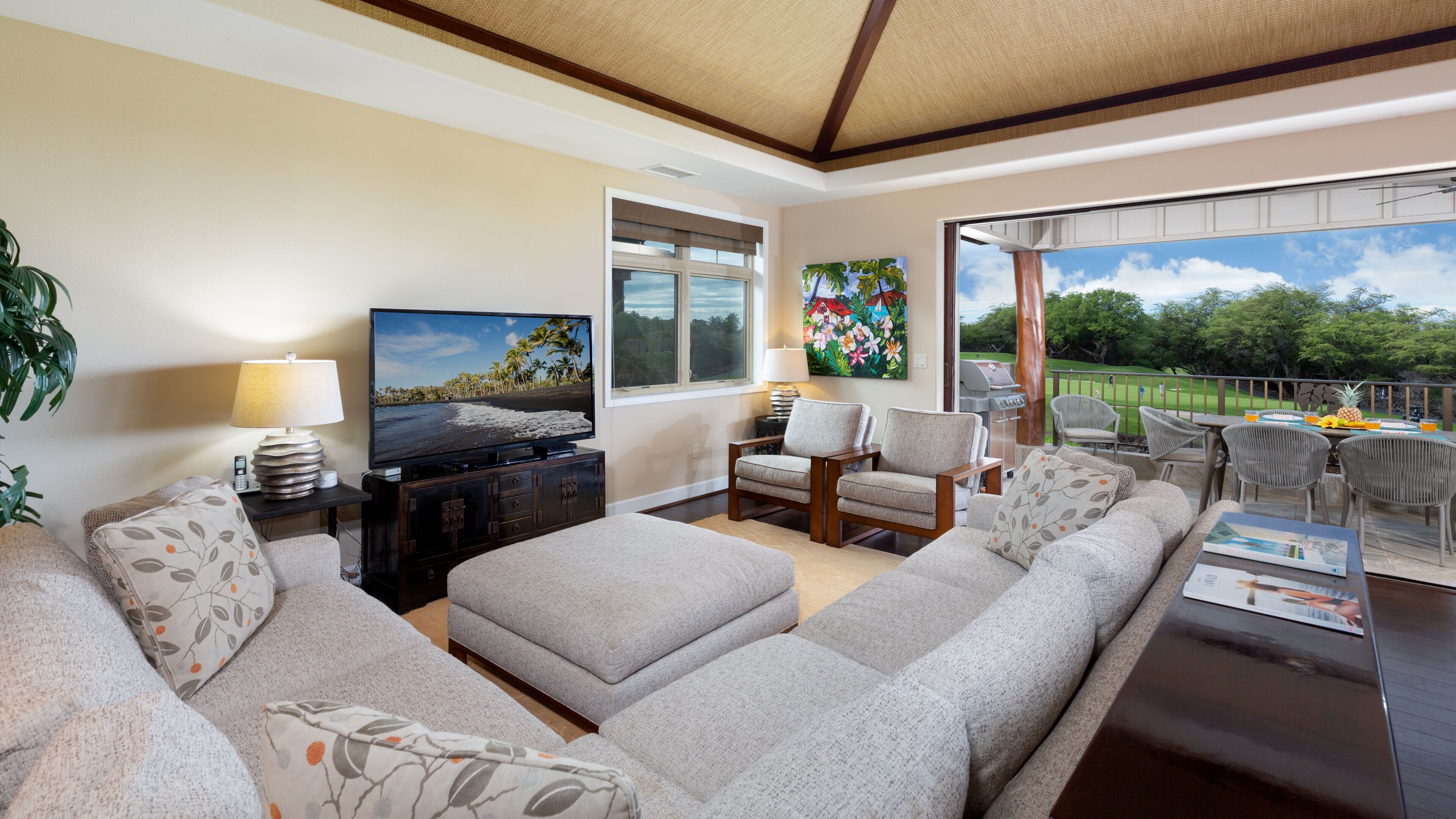 TV, books, music library, stereo