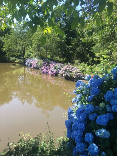 Charming 2-Bed Cabin in Domfront-en-Poiraie