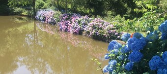 Charming 2-Bed Cabin in Domfront-en-Poiraie